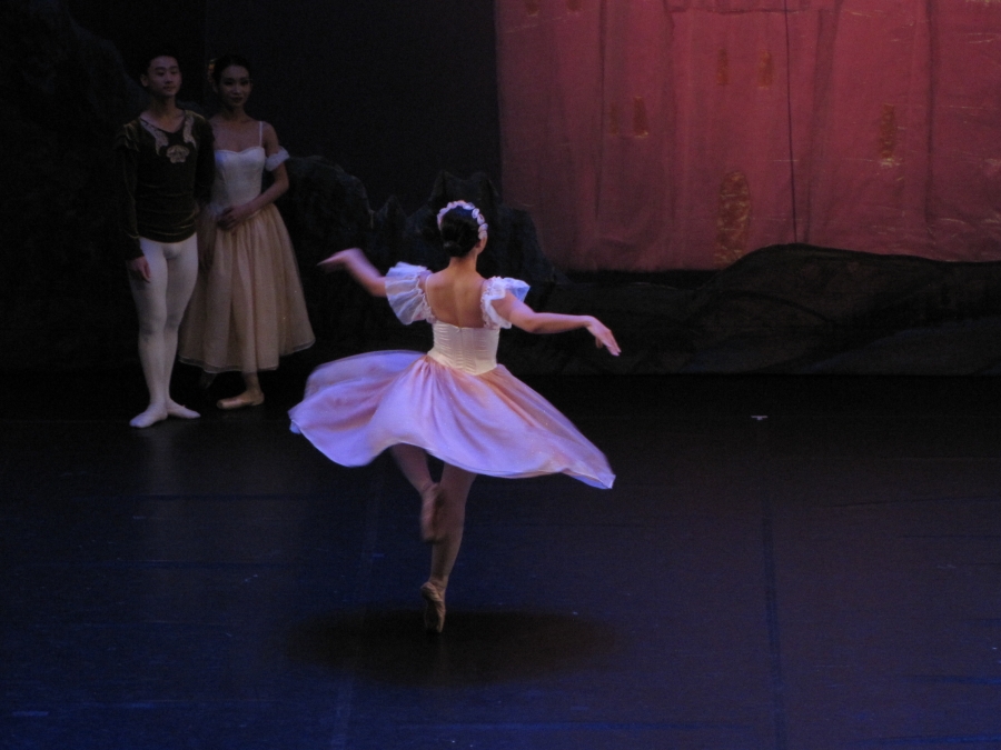 Vở ballet Hồ Thiên Nga do Nhà hát Nhạc vũ kịch Việt Nam dàn dựng